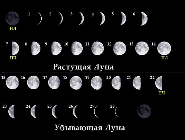 Лунный месяц в Северном полушарии