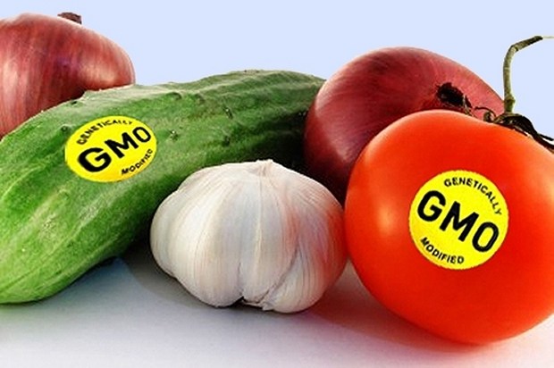 ГМО: Угроза здоровью или будущее планеты?