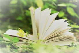 Экология в литературе Экология в литературе