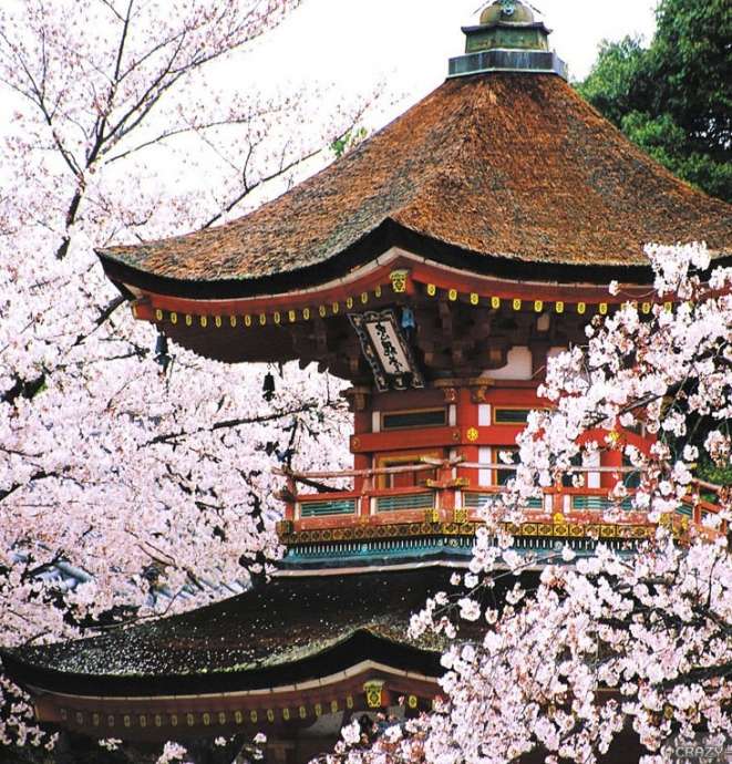 Культура и традиции Японии