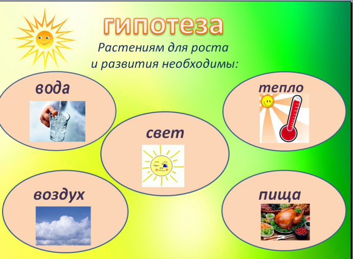 Вода тепло 1. Условия роста растений. Что нужно для роста растений. Растению для роста необходимы. Условия роста и развития растений.