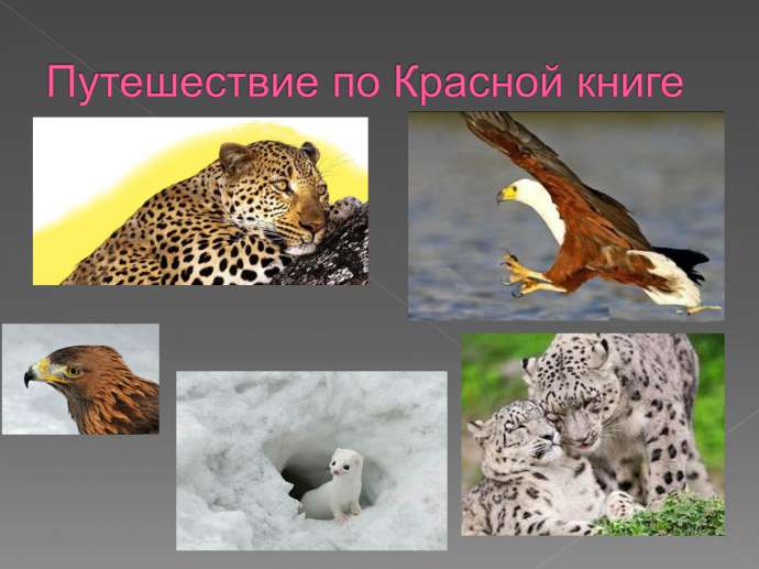 Путешествие по Красной книге