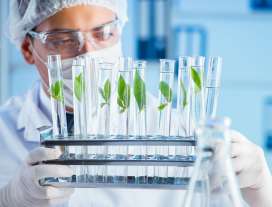 Факторы, влияющие на фотосинтез Факторы, влияющие на фотосинтез