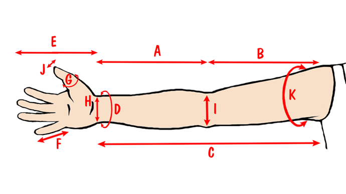 Длина рук составляет. Пропорции предплечья. Измерение длины предплечья. Пропорции ладони. Размер руки от локтя до кисти.