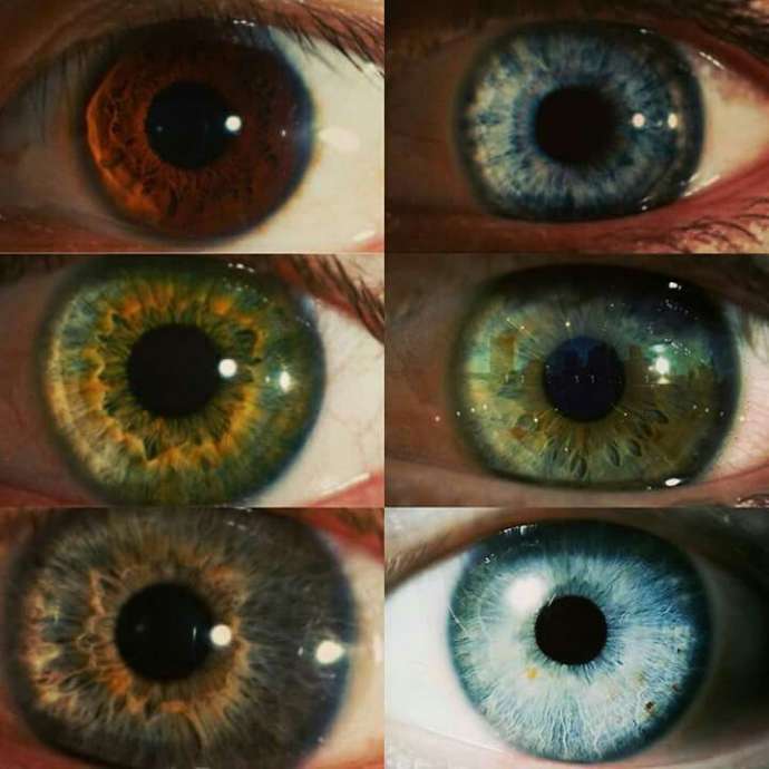 От чего зависит цвет наших глаз?