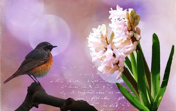 Весна в творчестве писателей и поэтов