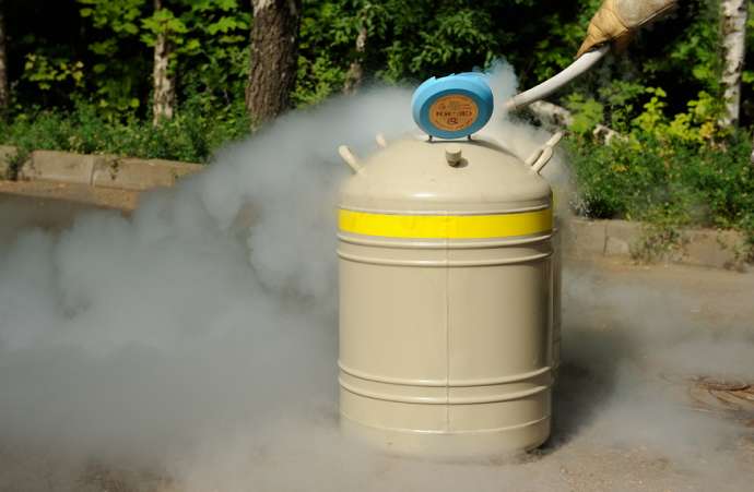 Пниктогены. Химические элементы V группы главной подгруппы