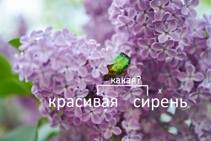 Словосочетание