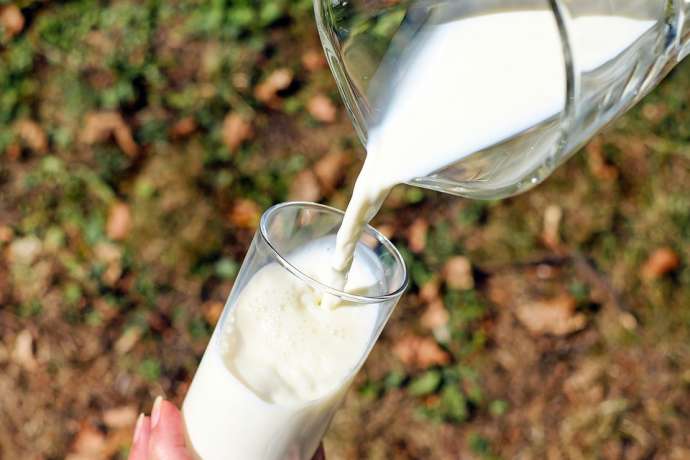 Исследование стоимости молока