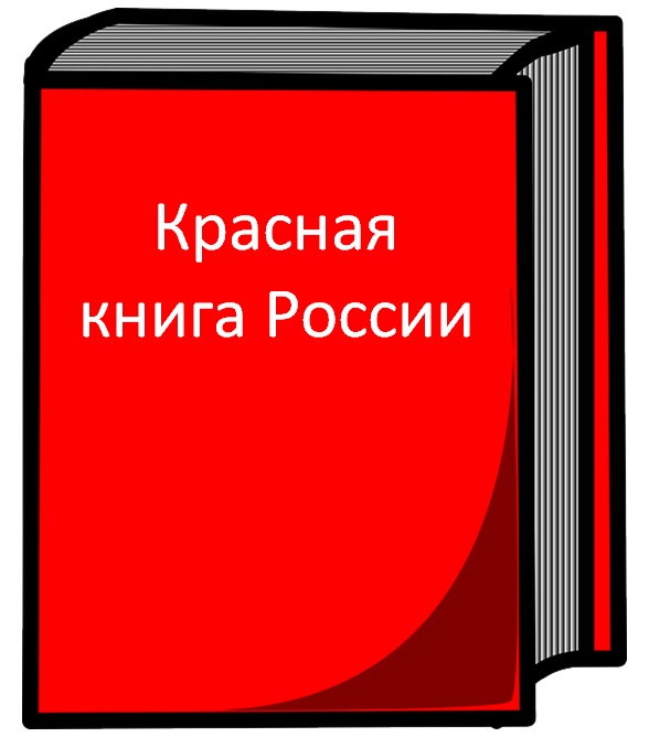 Проект на тему красная книга сигнал тревоги