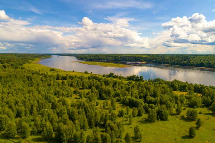Земля и воздух, вода, почва и живые организмы: разнообразие сред обитания Земля и воздух, вода, почва и живые организмы: разнообразие сред обитания