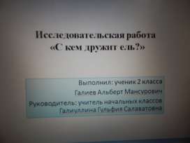 С кем дружит ель? С кем дружит ель?