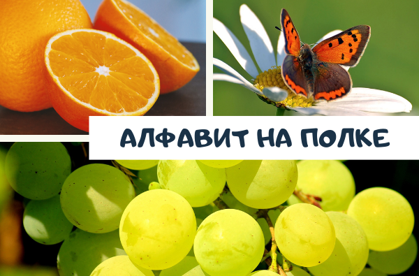 Алфавит на полке