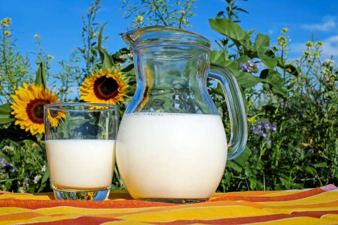 Определяем качество молока в домашних условиях